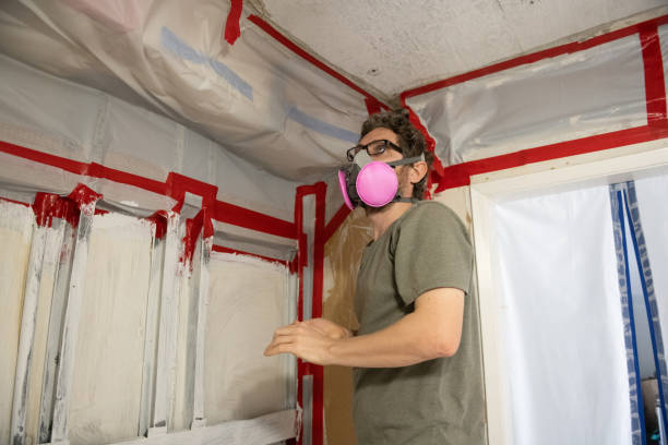 Best Mold Remediation for Healthcare Facilities  in Providence Village, TX