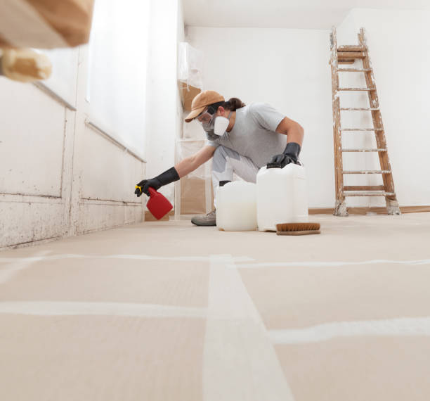 Best Asbestos and Lead Testing During Mold Inspection  in Providence Village, TX